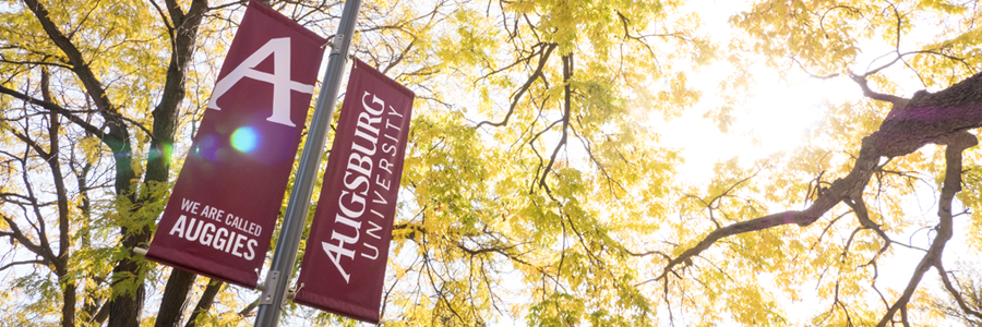 Augsburg University banners